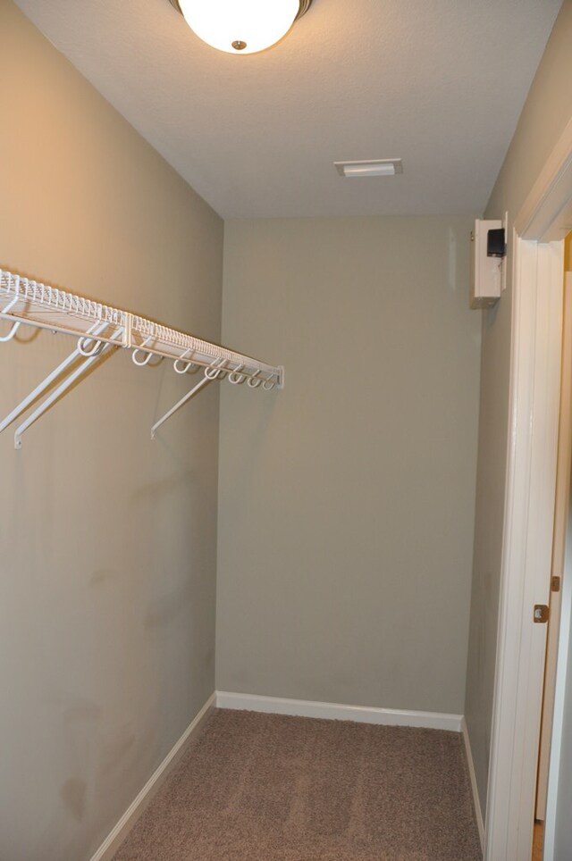 walk in closet with carpet floors