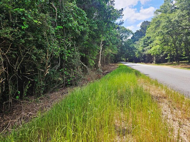 0 E Dogwood Trl, Coffee Springs, AL 36318
