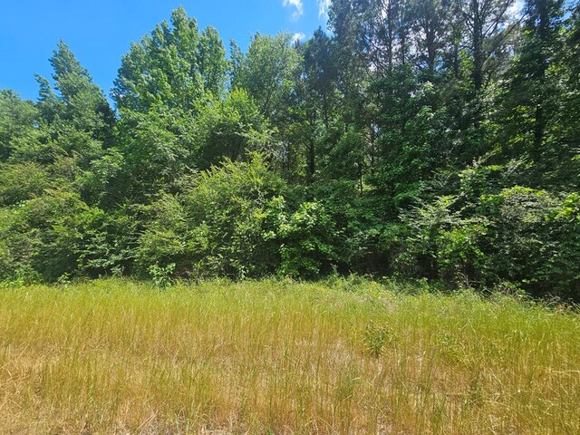 0 E Dogwood Trl, Coffee Springs, AL 36318