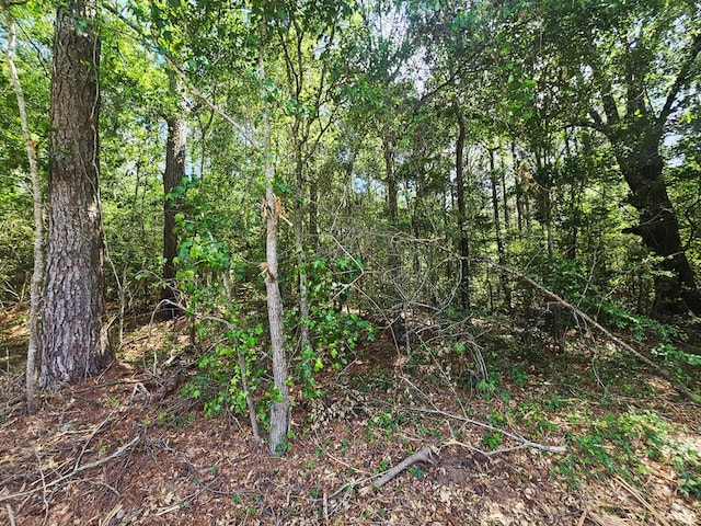 0 E Dogwood Trl, Coffee Springs, AL 36318