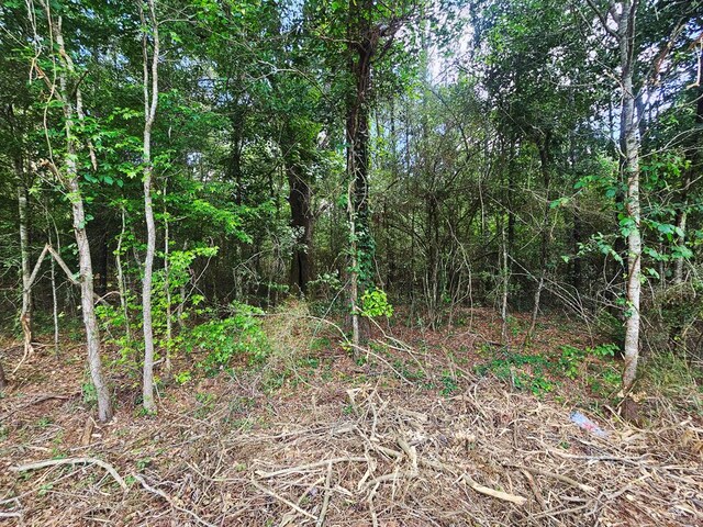 0 E Dogwood Trl, Coffee Springs, AL 36318
