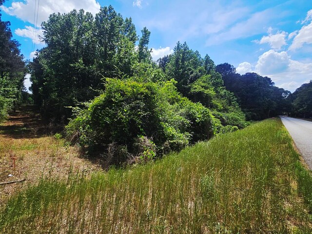 0 E Dogwood Trl, Coffee Springs, AL 36318
