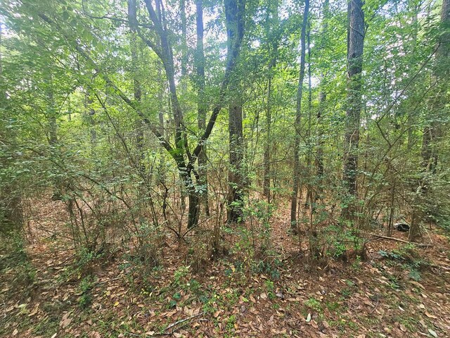 0 E Dogwood Trl, Coffee Springs, AL 36318