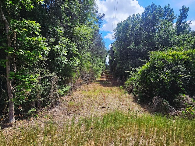 0 E Dogwood Trl, Coffee Springs, AL 36318