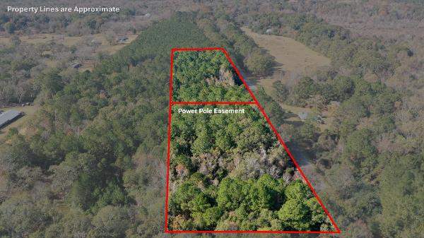 0 E Dogwood Trl, Coffee Springs, AL 36318