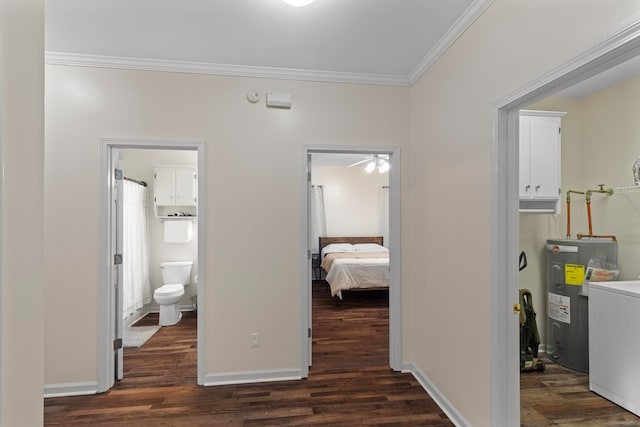 hall featuring water heater, crown molding, and dark hardwood / wood-style floors