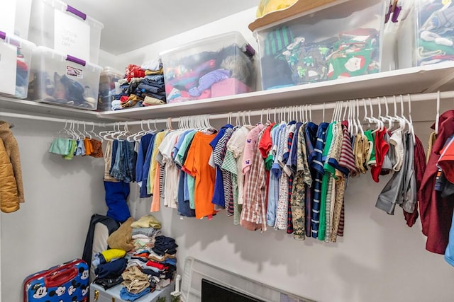 view of spacious closet