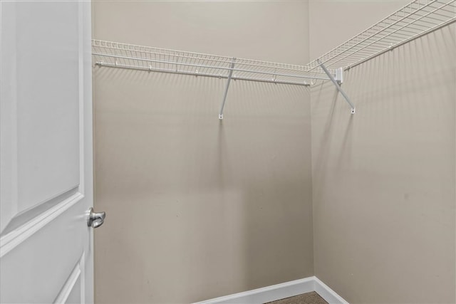 view of walk in closet