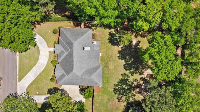 bird's eye view