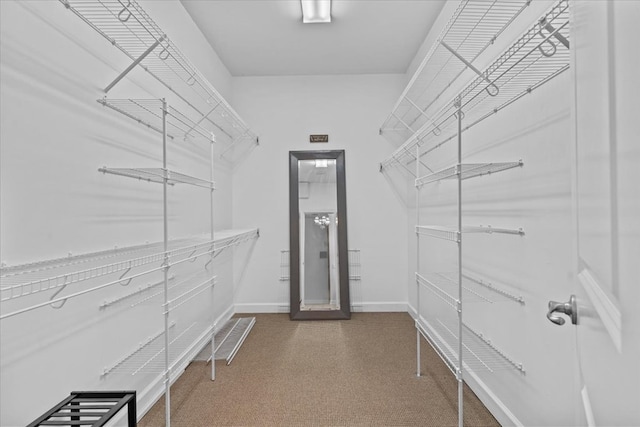 view of walk in closet