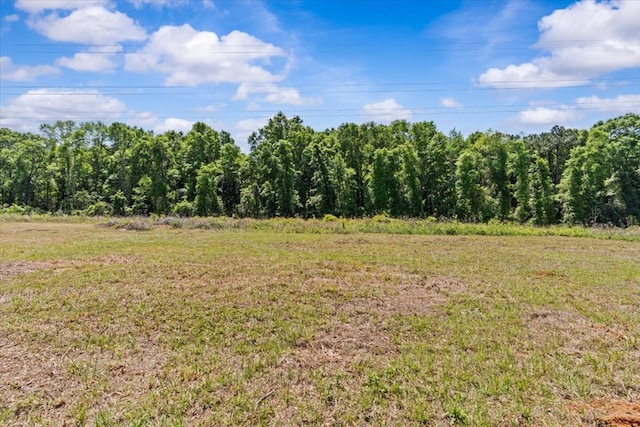 view of nature