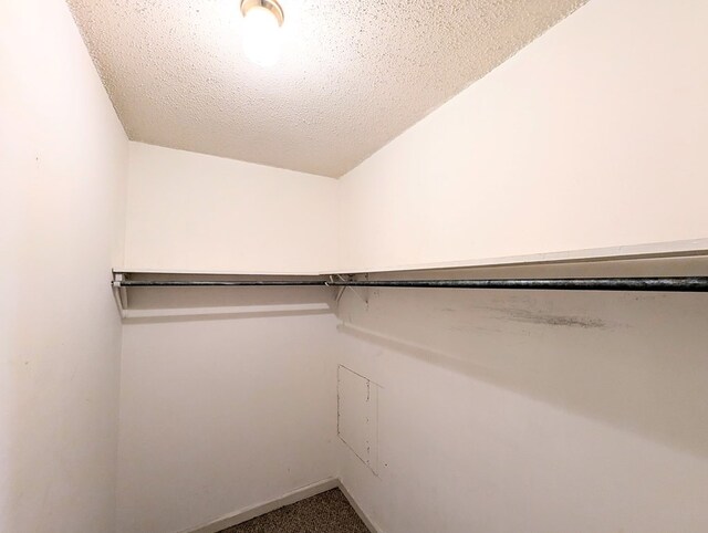 spacious closet with carpet floors