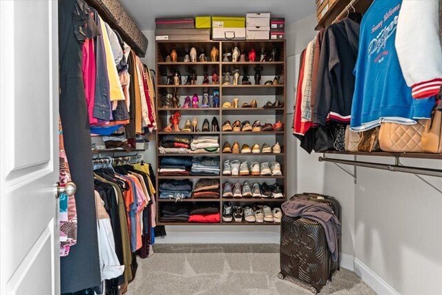 459 Paxton, Dothan, AL 36301 - walk in closet featuring carpet flooring