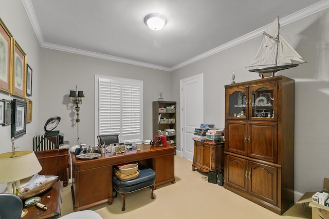 6 Williamsburg Pl, Dothan, AL 36305 - office area featuring ornamental molding and light carpet