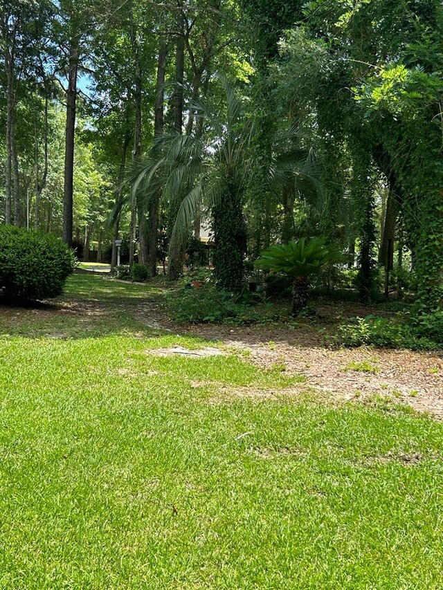 123 Waterford Way, Ashford, AL 36321 - view of grassy yard