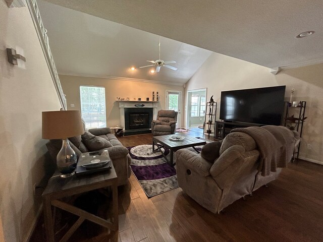 123 Waterford Way, Ashford, AL 36321 - living room with a ceiling fan, dark wood-style flooring, a fireplace, vaulted ceiling, and ornamental molding