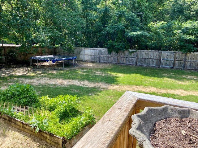 218 Azalea Ln, Headland, AL 36345 - view of yard with a trampoline