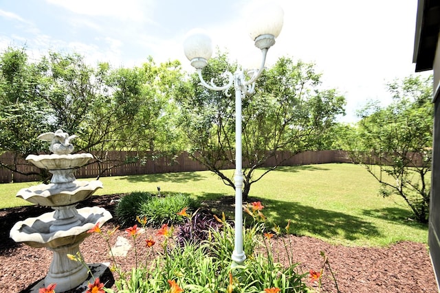 view of yard featuring a fenced backyard