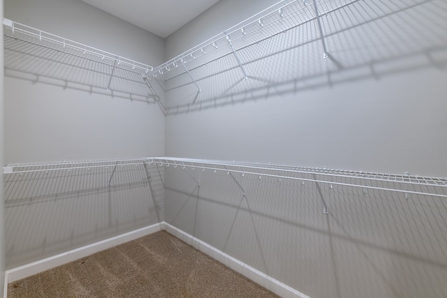 212 Archer Trl, Enterprise, AL 36330 - walk in closet featuring carpet flooring