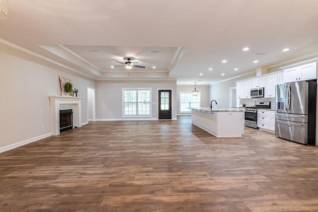 212 Archer Trl, Enterprise, AL 36330 - kitchen featuring open floor plan, crown molding, a tray ceiling, and stainless steel appliances