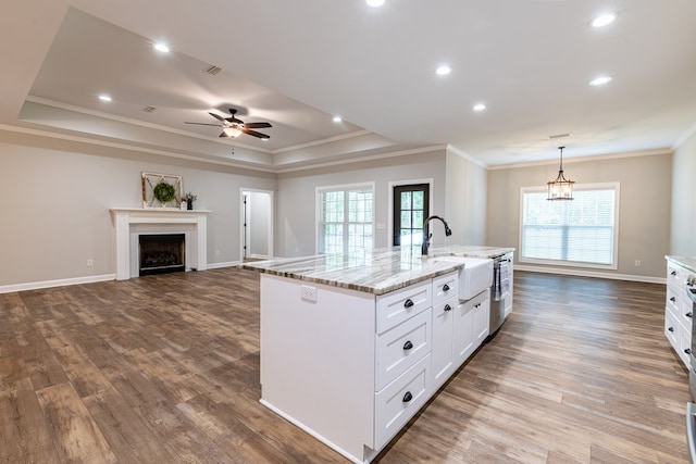 212 Archer Trl, Enterprise, AL 36330 - kitchen with a tray ceiling, dark wood-style floors, ornamental molding, and a sink