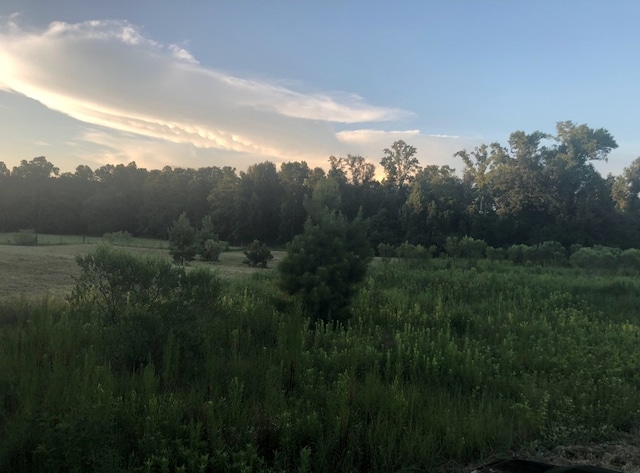4195 Cedar Springs Rd, Ashford, AL 36312