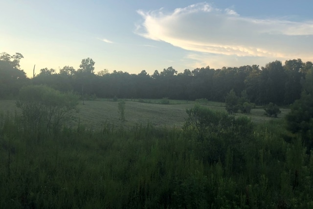 4195 Cedar Springs Rd, Ashford, AL 36312