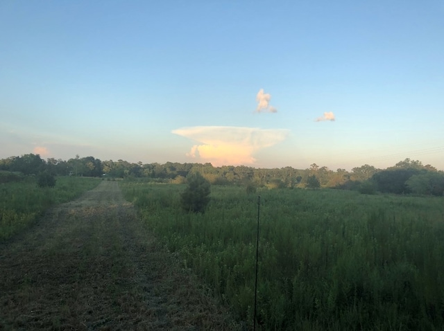 4195 Cedar Springs Rd, Ashford, AL 36312