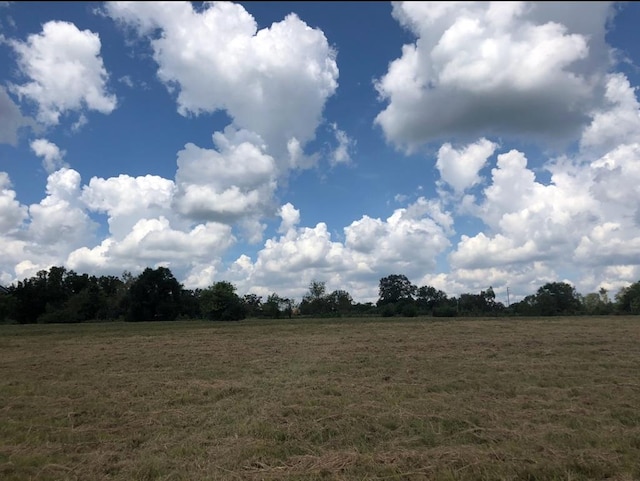 4195 Cedar Springs Rd, Ashford, AL 36312