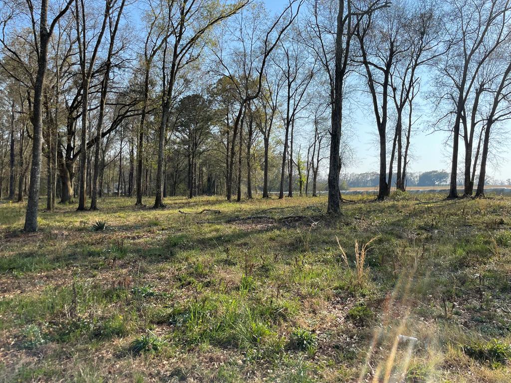 0LOTI Prevatt Rd, Cowarts, AL 36321 - photo 1