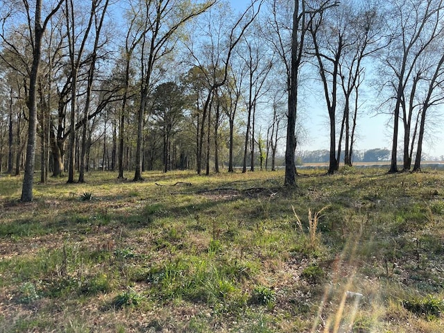 0LOTI Prevatt Rd, Cowarts, AL 36321