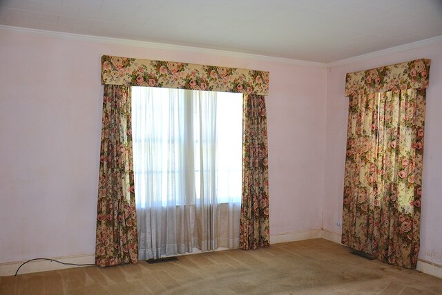 790 Claxton Ave, Elba, AL 36323 - carpeted empty room with baseboards and ornamental molding