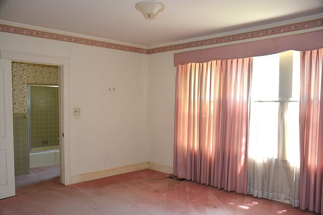 790 Claxton Ave, Elba, AL 36323 - spare room with light carpet, ornamental molding, and plenty of natural light