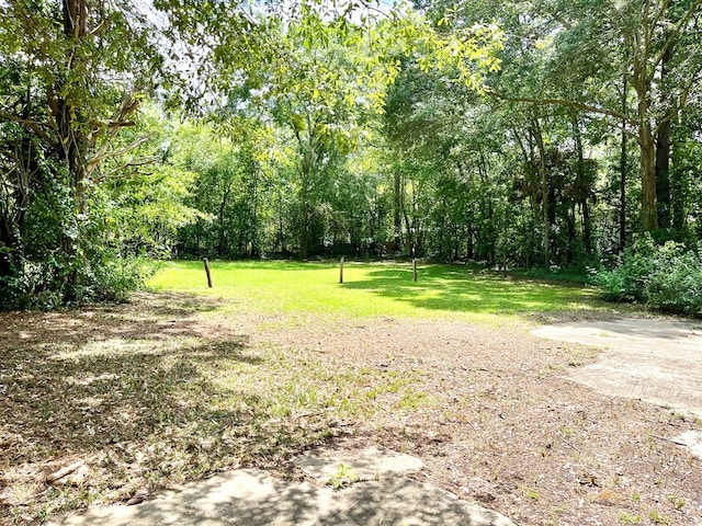 307 Mallon St, Dothan, AL 36303 - photo 9
