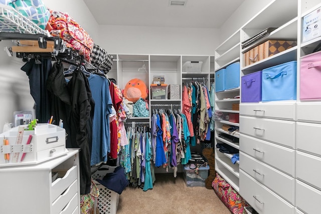 400 Bent Oak Dr, Dothan, AL 36303 - spacious closet featuring carpet floors
