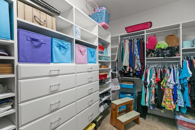 400 Bent Oak Dr, Dothan, AL 36303 - spacious closet featuring carpet flooring