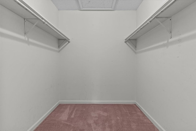 walk in closet with carpet