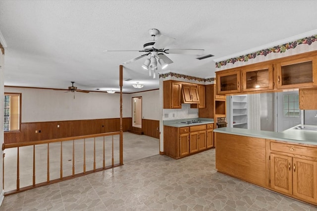 kitchen featuring wood walls, ornamental molding, a textured ceiling, and a wealth of natural light