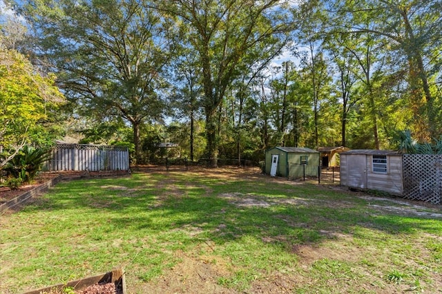 view of yard with a storage shed