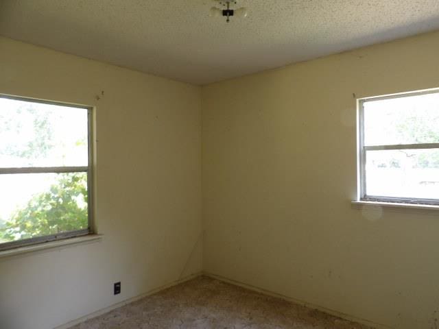 spare room with light carpet, plenty of natural light, and a textured ceiling