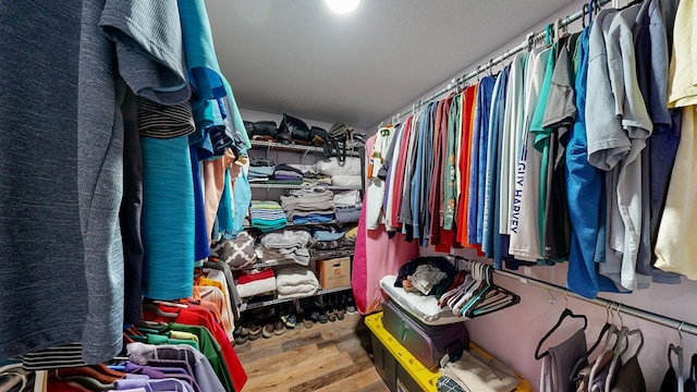 8875 E State Highway 52, Webb, AL 36376 - spacious closet featuring wood finished floors