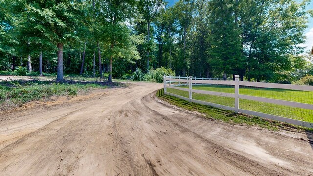 8875 E State Highway 52, Webb, AL 36376 - view of dirt / gravel road