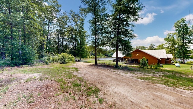 8875 E State Highway 52, Webb, AL 36376 - view of dirt / gravel driveway