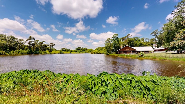 8875 E State Highway 52, Webb, AL 36376 - water view