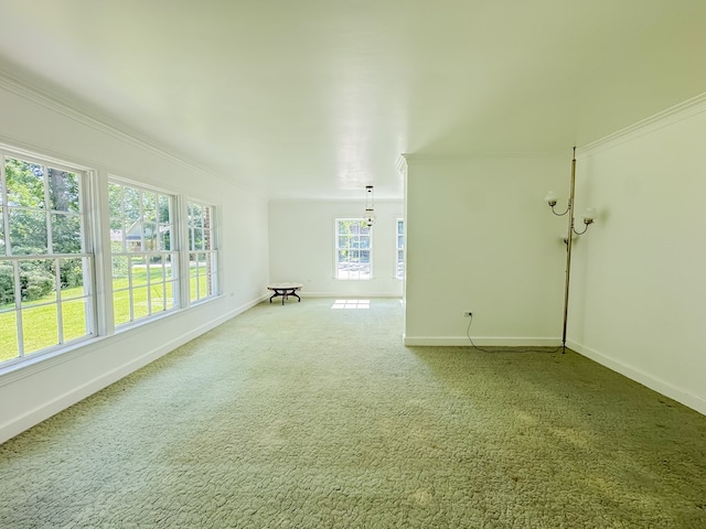 800 W Brookside Ave, Geneva, AL 36340 - spare room with crown molding and light carpet