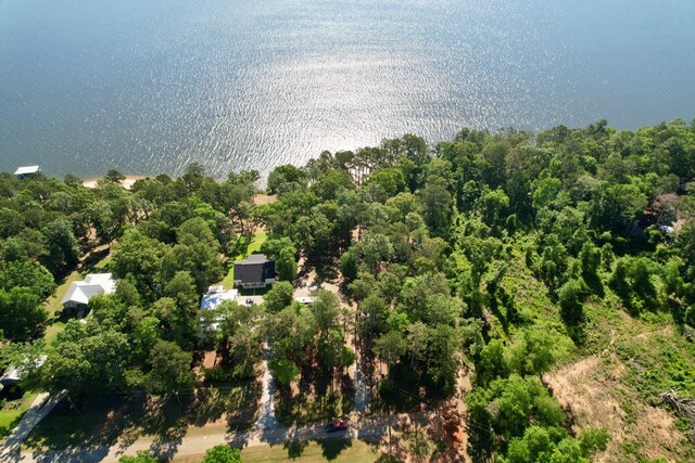 171 Lakeview Ter, Abbeville, AL 36310 - photo 6