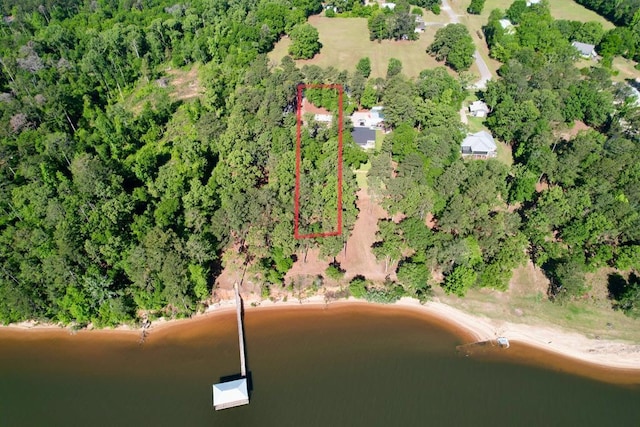 171 Lakeview Ter, Abbeville, AL 36310 - photo 2