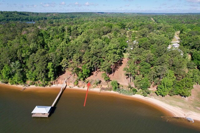 171 Lakeview Ter, Abbeville, AL 36310 - photo 4