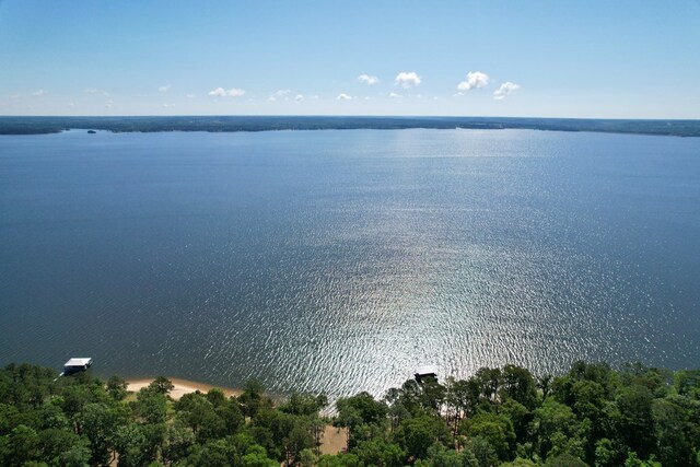 171 Lakeview Ter, Abbeville, AL 36310 - photo 9