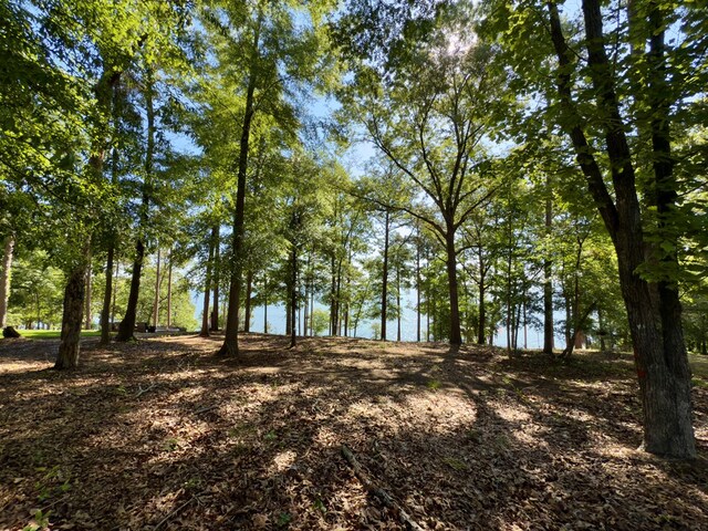 171 Lakeview Ter, Abbeville, AL 36310 - photo 5